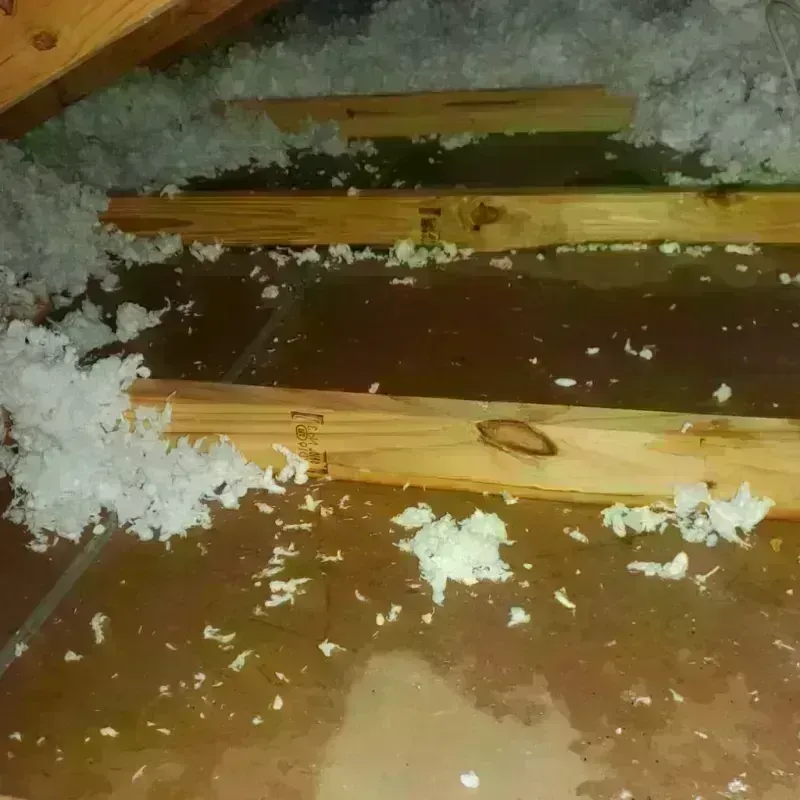 Attic Water Damage in Simpson, PA