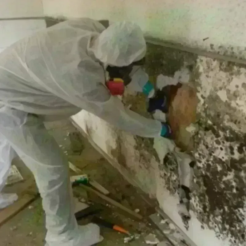 Mold Remediation and Removal in Simpson, PA